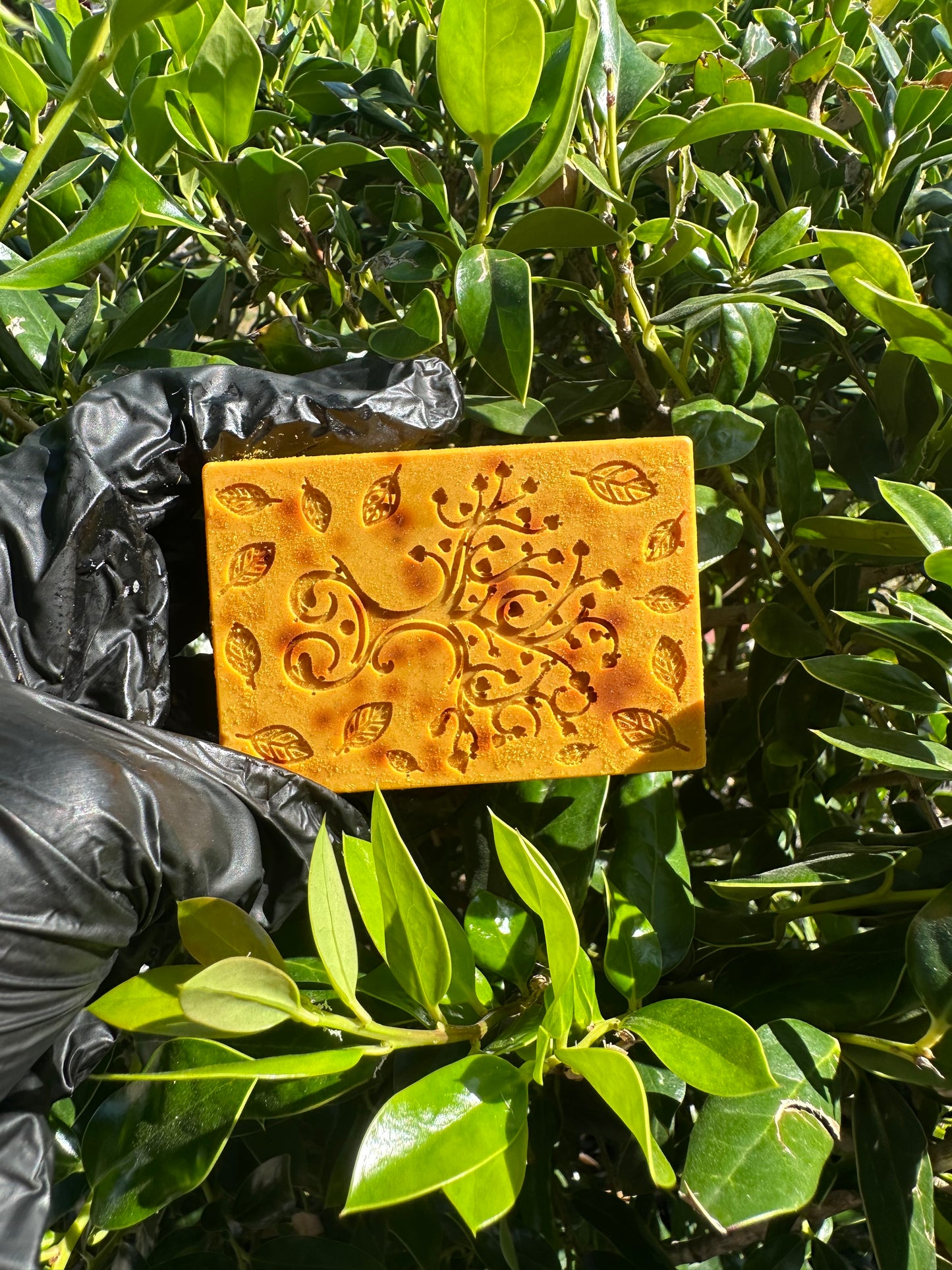 Turmeric face/body soap