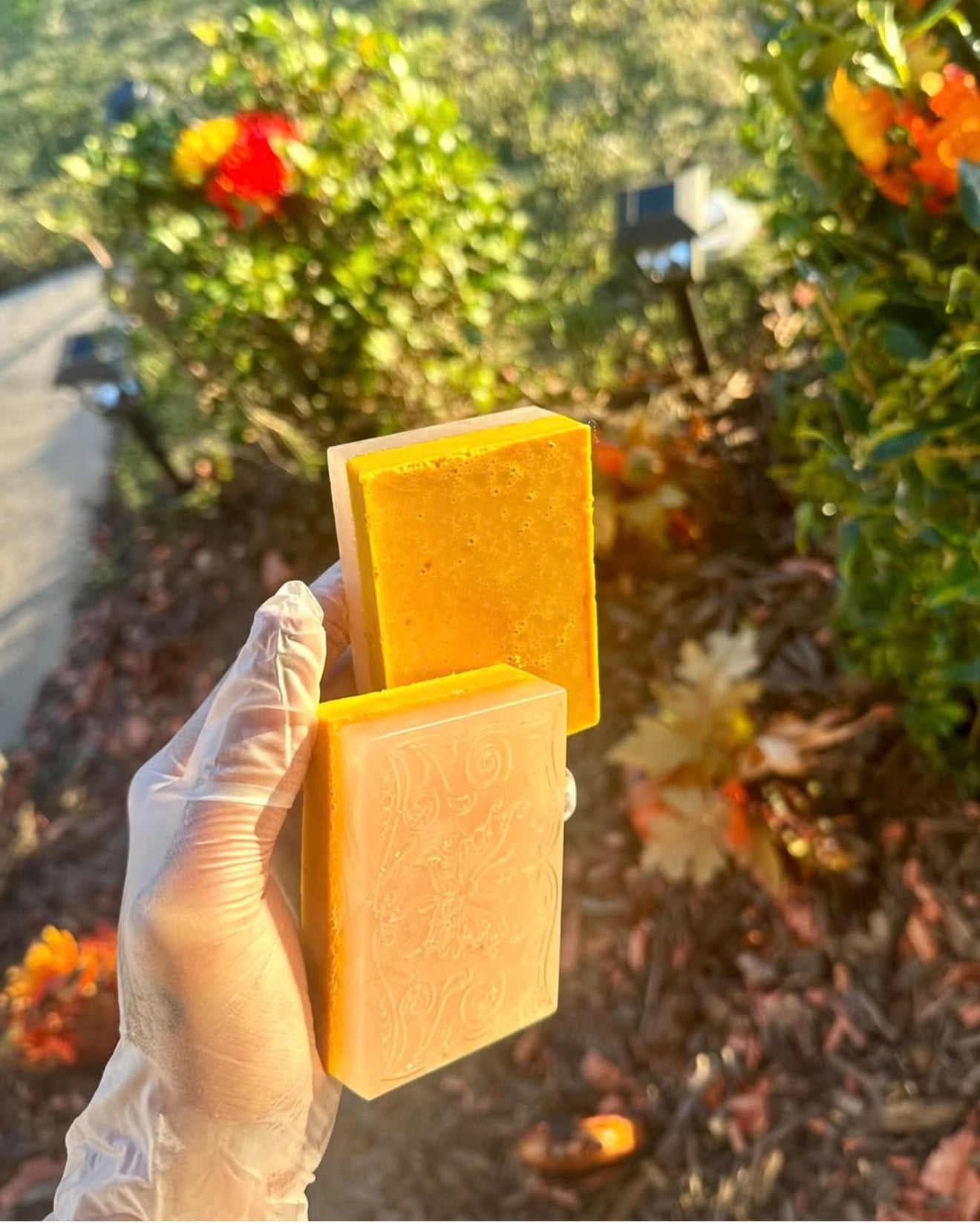 Hybrid Soap (Turmeric + Aloe)