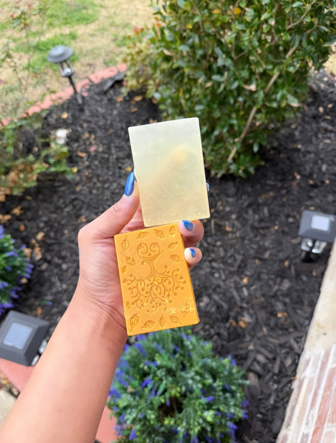 Turmeric & Aloe Vera Soap Bundle ✨